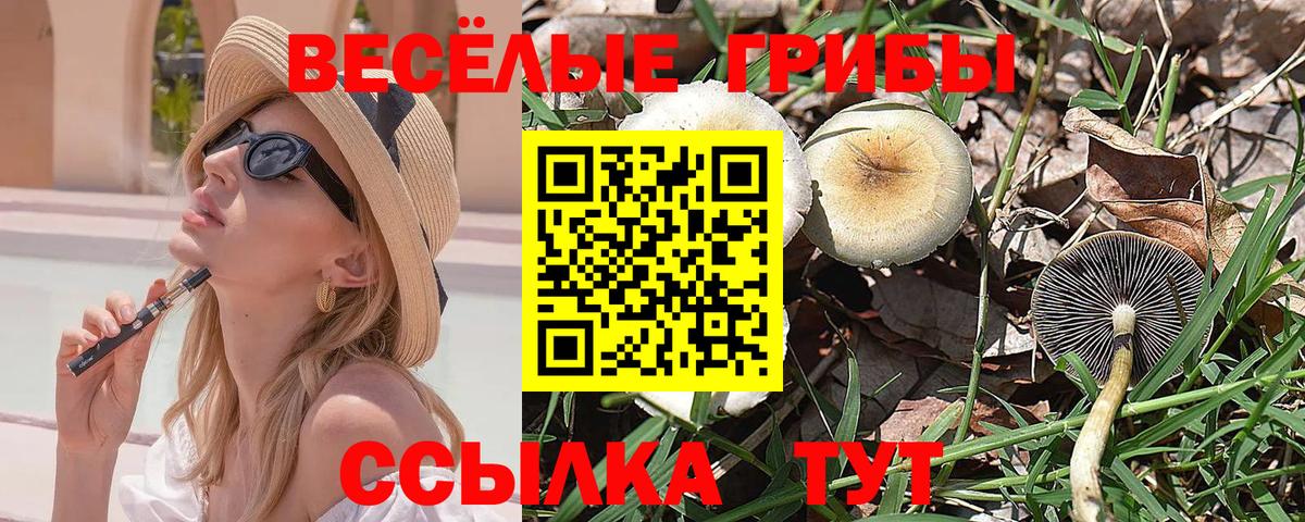 Псилоцибиновые грибы Cubensis Назрань