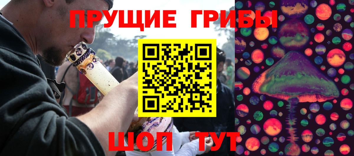 Псилоцибиновые грибы GOLDEN TEACHER  Псилоцибиновые грибы MAGIC MUSHROOMS  Назрань  Вход с VPN 